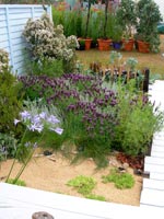 Sandringham Flower Show 10